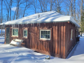 New! The Higgins Lake Hideaway - Super Cute!